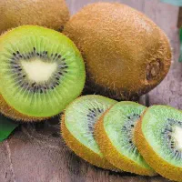 فروش کیوی عمده