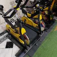 دوچرخه بدنسازی