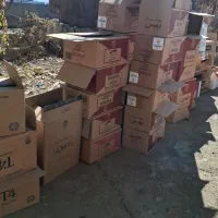 کارتون خالی|عمدهفروشی|کلیائی, |دیوار