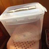 ۲عدد ظرف لیمون