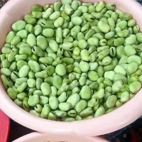 باقالا کاشان درجه یک درشت