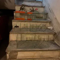 اکواریوم|ماهی|تهران, خاوران|دیوار