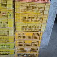 جعبه لاکی|عمدهفروشی|گمیشان, |دیوار