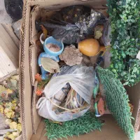 اکواریوم|ماهی|ملکان, |دیوار