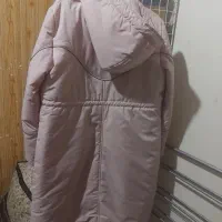 کاپشن زنانه|لباس|کاشان, ولیعصر|دیوار