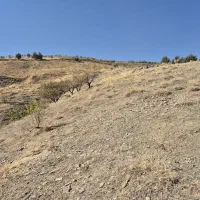 فروش باغ ۳۷۰۰متری حیدره زیرپارک جنگلی|فروش دفتر صنعتی، کشاورزی، تجاری|همدان, |دیوار