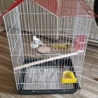 قفس اندازه معمولی طرح خونه