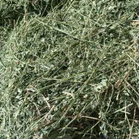 یونجه غذای اصلی خرگوش و خوکچه هندی|لوازم جانبی حیوانات|شیراز, نصر|دیوار