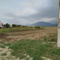 زمین روستای سرکهریزا|فروش زمین و ملک کلنگی|آزادشهر, |دیوار