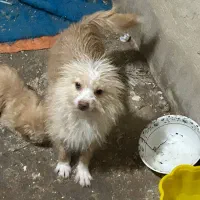 با سلام از دیوار