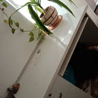 میز کامپیوتر