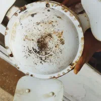 پنکه سقفی و پنکه ایستاده