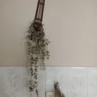 گل مصنوعی اویز