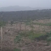 زمین فروشی کاشمر