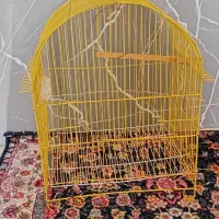 دو عدد قفس پرنده|لوازم جانبی حیوانات|کرج, فاز ۵ مهرشهر|دیوار