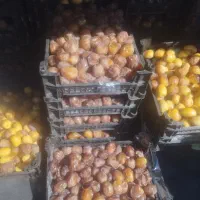 رطب برحی عسلی