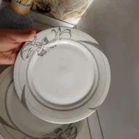 برنج خوری چینی با طرح نقره ای رنگ|ظروف سرو و پذیرایی|شیروان (خراسان), |دیوار