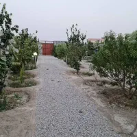 فروش باغ 500متری علیشاهدان|فروش خانه و ویلا|پیر بکران, |دیوار