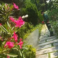 سمپاشی با ضمانت نامه کتبی|خدمات نظافت|تهران, ستارخان|دیوار