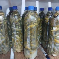 خیارشور|خوردنی و آشامیدنی|تهران, نعمتآباد|دیوار