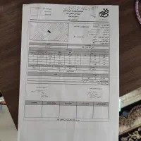 زمین|فروش زمین و ملک کلنگی|شاهینشهر, شهرک میلاد|دیوار