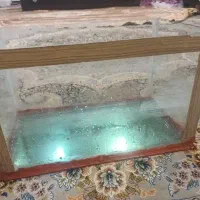 آکواریوم برای ماهی های تزئینی|ماهی|نجفآباد, یزدانشهر|دیوار