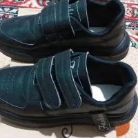 کیف و کفش|کیف، کفش، کمربند|برازجان, |دیوار