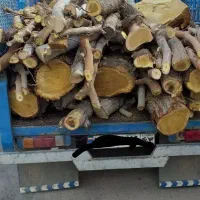 خرید و تخریب انواع چوب های خشک ساختمانی و بورش چوب