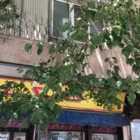 ساختمان-کلنگی-105-متر-پهنه-R-122