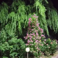 ملک2طبقه در داخل روستا قره بنیاد|فروش خانه و ویلا|زالیان, |دیوار