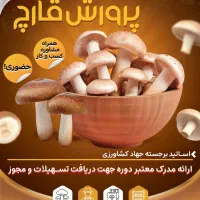 با پرورش قارچ در خانه پول دربیار