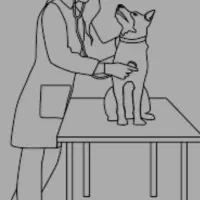 دامپزشک درمحل کاملا اقتصادی