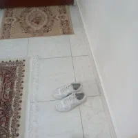 کتانی اسپرت نیوبالانس|کیف، کفش، کمربند|رشت, نخودچر|دیوار