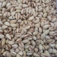 فروش عمده پسته|عمده‌فروشی|مشهد, هفده شهریور|دیوار