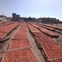 اسلایس الو انجلا لوکس و کالیفرنیا لوکس استنلی|عمده‌فروشی|تهران, ترمینال جنوب|دیوار