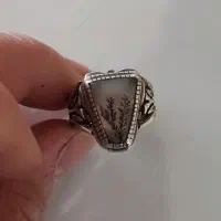 شجر قائن بسیار زیبا|جواهرات|ملایر, |دیوار