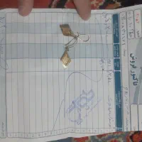 گوشواره ۲.۵۴۰ گرم