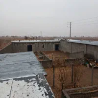 دامداری زمین کشاورزی|فروش دفتر صنعتی، کشاورزی، تجاری|محمدشهر, محمدشهر|دیوار