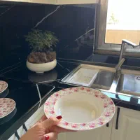 سرویس ظرف غذاخوری
