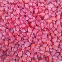 زرشک تازه اعلا بسته بندی شیک کیلوی199 با ارسال|خوردنی و آشامیدنی|مشهد, رسالت|دیوار