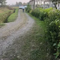 ۲۲۰ متر زمین مسکونی با نامه تاییدیه بنیاد مسکن|فروش زمین و ملک کلنگی|کوچصفهان, |دیوار