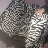 مبل ۷نفره تمیز همراه با کوسن|مبلمان خانگی و میز عسلی|بندر انزلی, مسکن مهر|دیوار