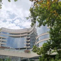 اجاره سند اداری اطلس ۱۹۰ متر تراس دار