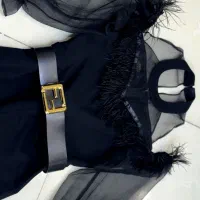 لباس مجلسی|لباس|اصفهان, باغ دریاچه|دیوار