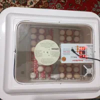دستگاه جوجه کشی اسکندری