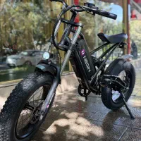 دوچرخه برقی|دوچرخه، اسکیت، اسکوتر|اصفهان, شهشهان|دیوار