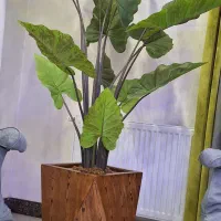 گل مصنوعی|گل مصنوعی|نسیم‌شهر, |دیوار