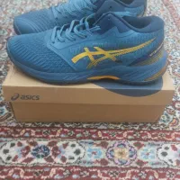 کتانی آسیکس نو|کیف، کفش، کمربند|میانه, |دیوار