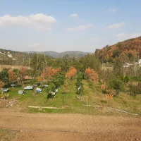 عسل۱۰۰درصد طبیعی|خوردنی و آشامیدنی|لاهیجان, یوسف آباد|دیوار