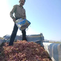 حمل بار به تمام نقاط شهرستان و اطراف|خدمات حمل و نقل|داراب, |دیوار